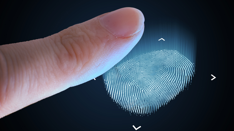 Biometrie als sichere Methode zur digitalen Authentifizierung