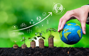 ESG und Sustainable Finance im Banking